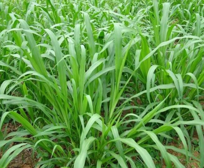 1650201293278948.jpg 1650201293278948.jpg