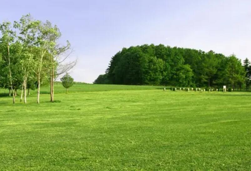 1650340454433509.jpg 1650340454433509.jpg