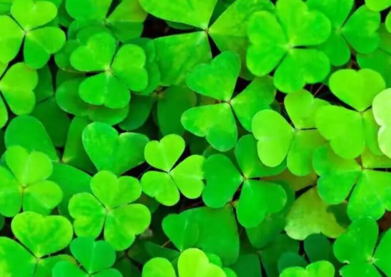 1651035455423489.jpg 3.jpg