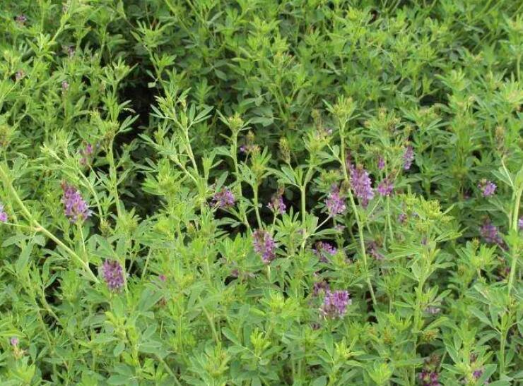 1651588837401038.jpg 2.jpg