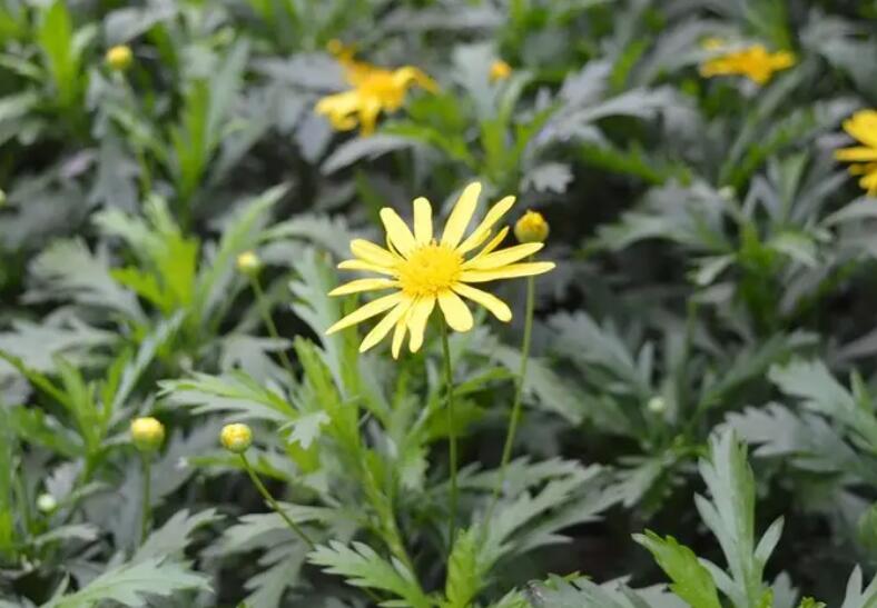 1653576255950292.jpg 2.jpg