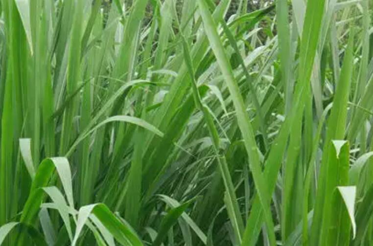 1653660728320306.jpg 1.jpg