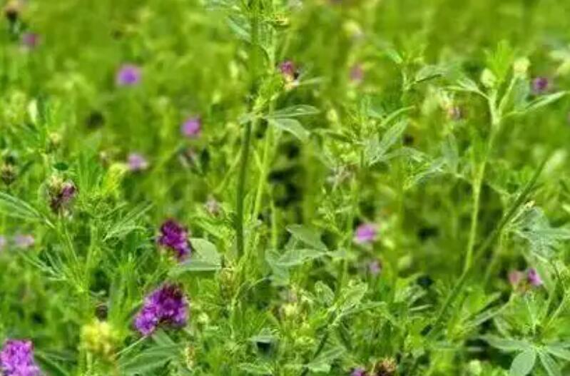 1653916923638552.jpg 1.jpg