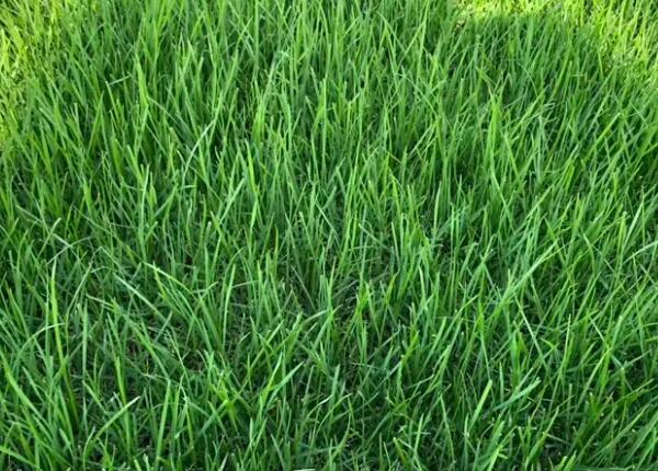 1657286477181502.jpg 1657286477181502.jpg