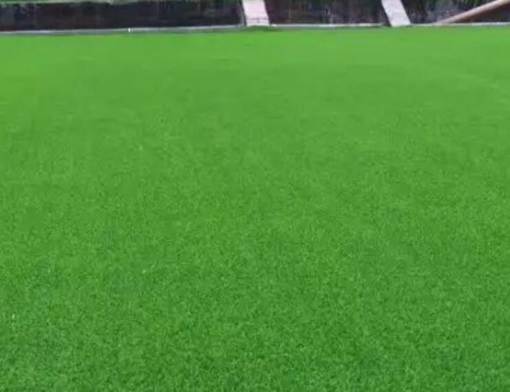 1657626305678222.jpg 2.jpg