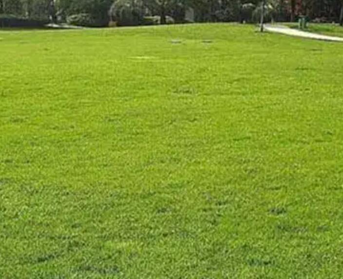 1657891238584572.jpg 3.jpg