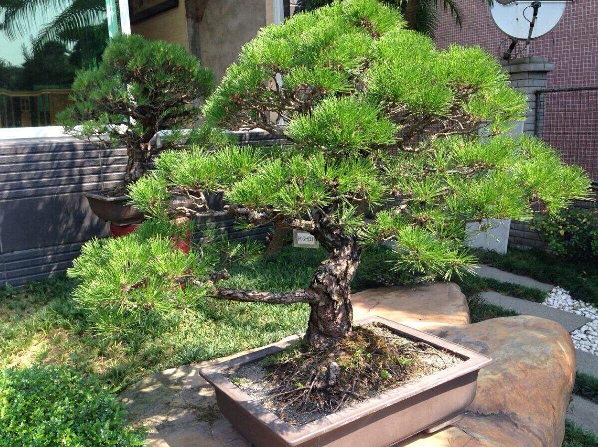 1658053987995277.jpeg 1658053987995277.jpeg