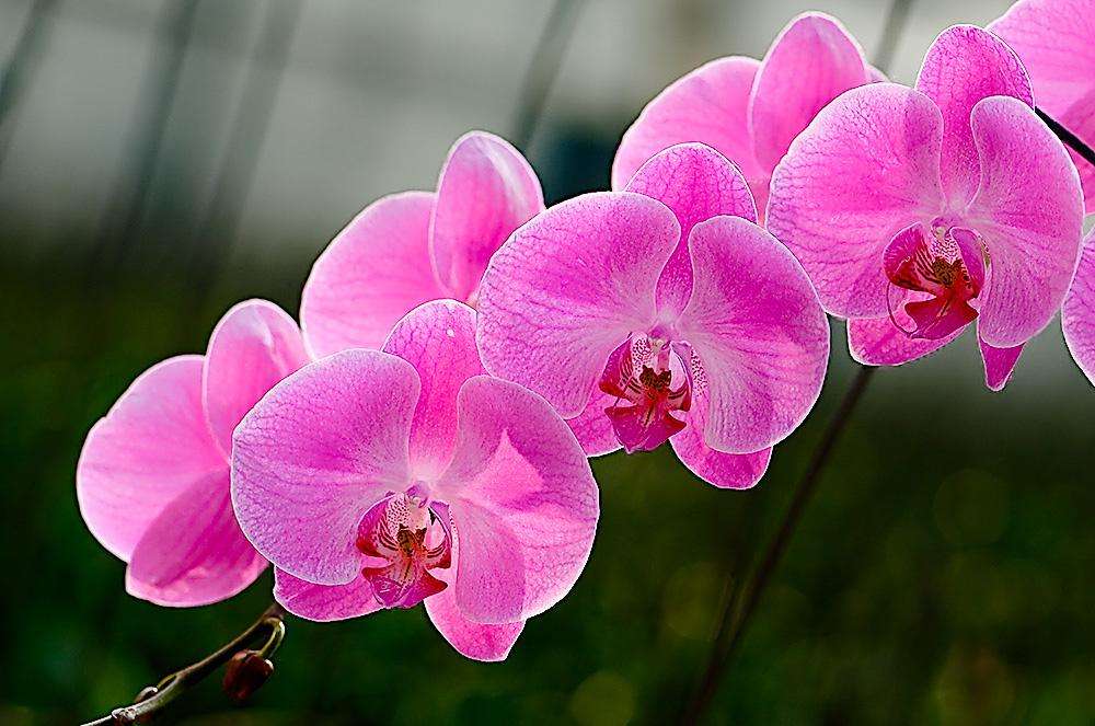 1658481061681542.jpeg 1658481061681542.jpeg