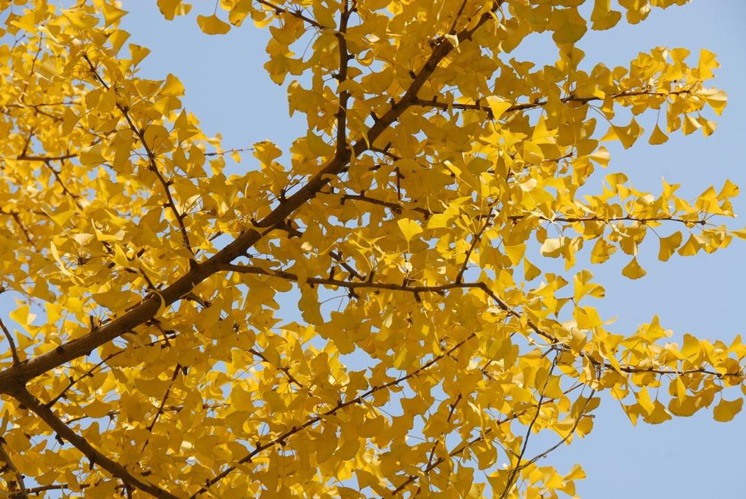 1658572614221271.jpeg 1658572614221271.jpeg