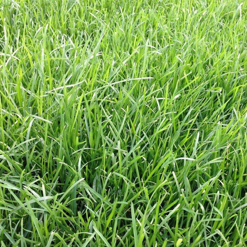 1658669038985573.jpg 1.jpg