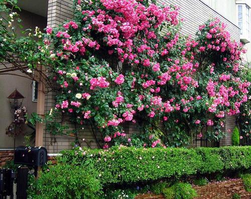 1659094373595001.jpeg 1659094373595001.jpeg