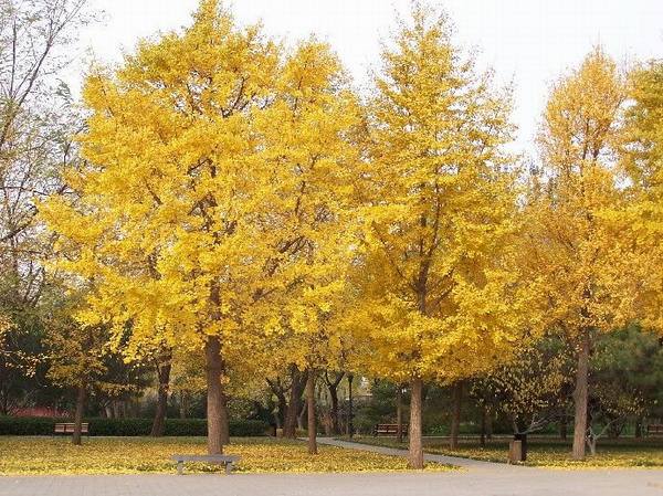 1659533144428404.jpeg 1659533144428404.jpeg