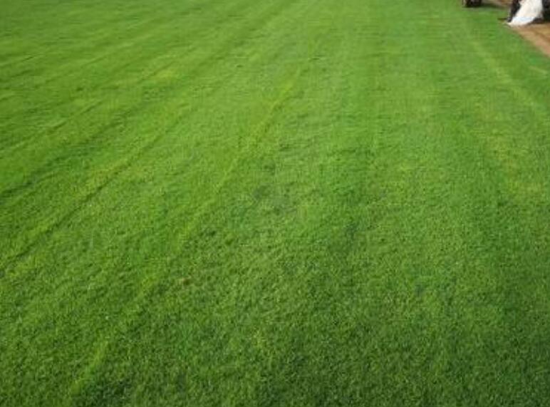 1659537118904231.jpg mmmmmmmmmmm.jpg