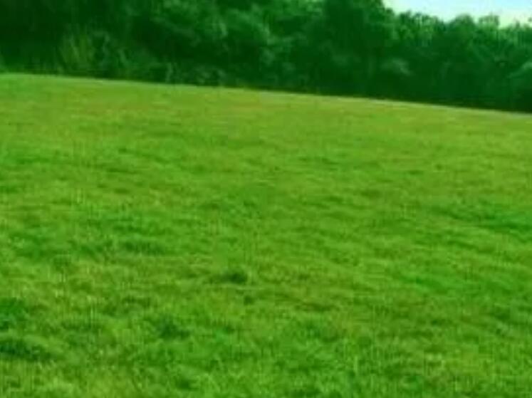 1659704873769520.jpg ooo.jpg