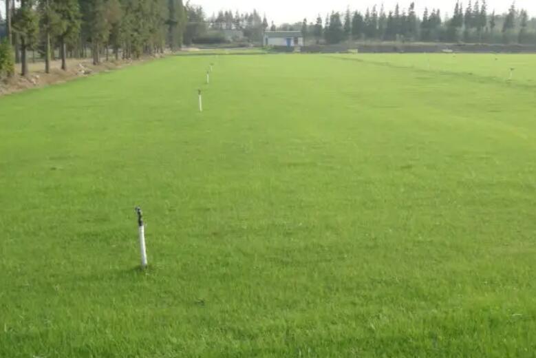 1659708209512836.jpg bb.jpg