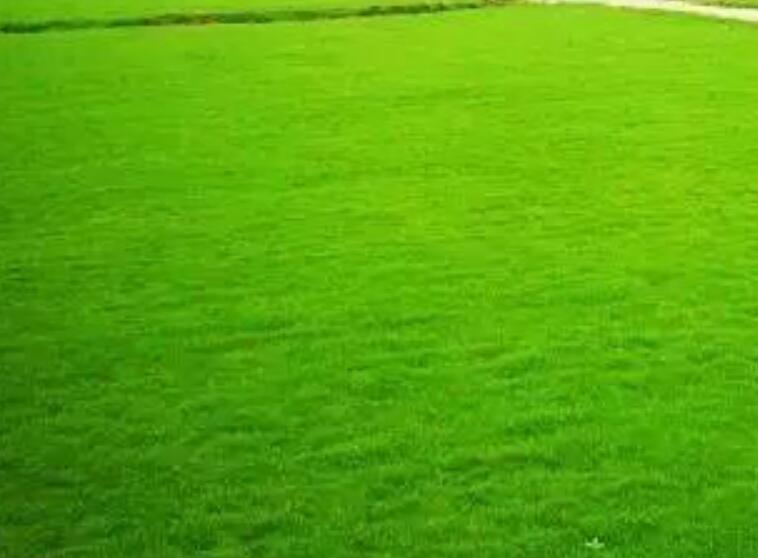 1659708331587498.jpg 2.jpg