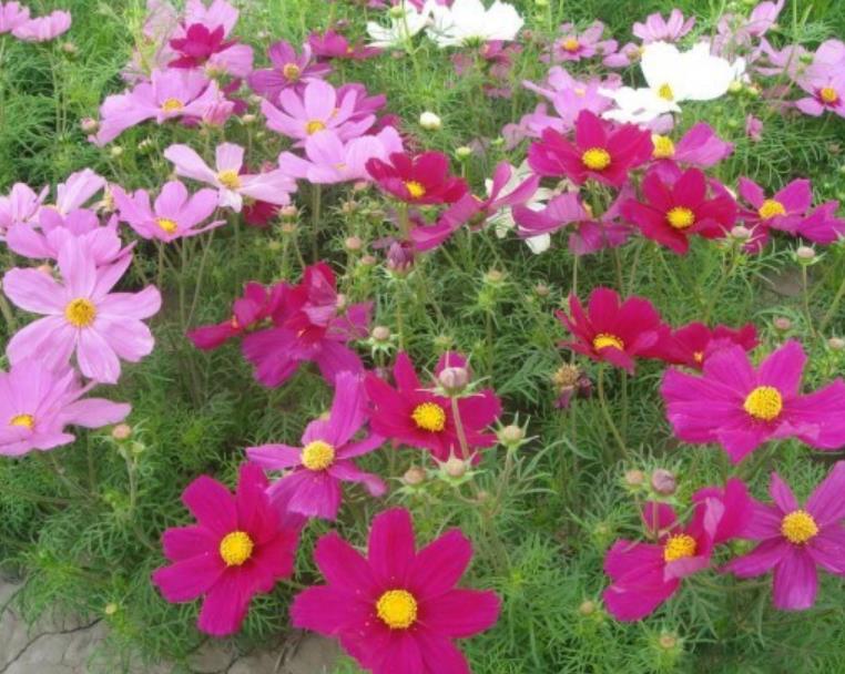 格?；?/></p><p style=