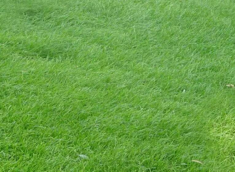 1659794277126657.jpg 1.jpg