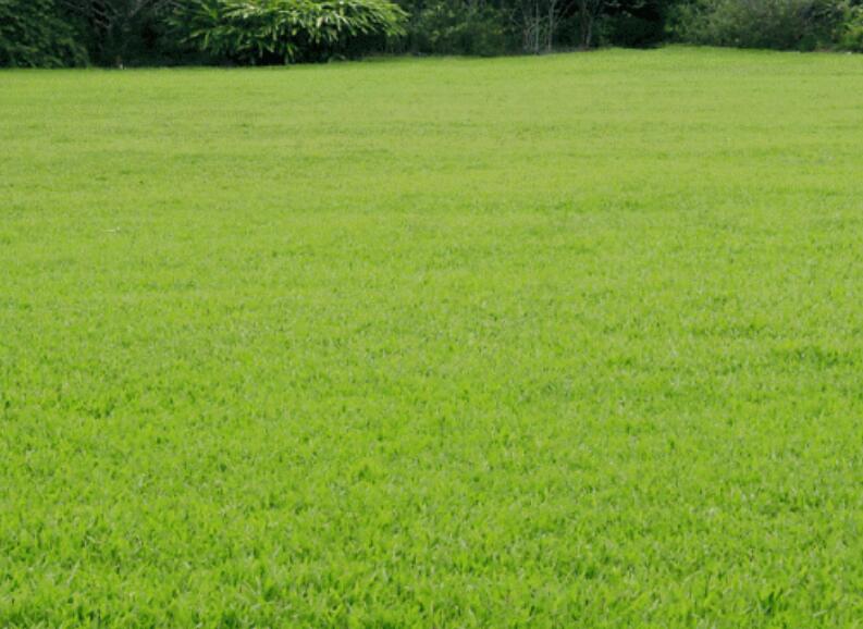 1660052108901055.jpg 3.jpg