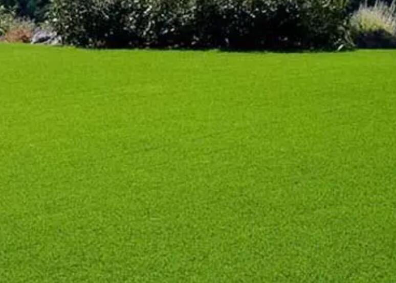 1660053460972015.jpg 1.jpg