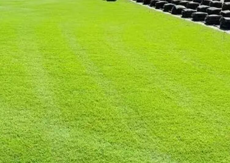 1660053519440653.jpg 3.jpg