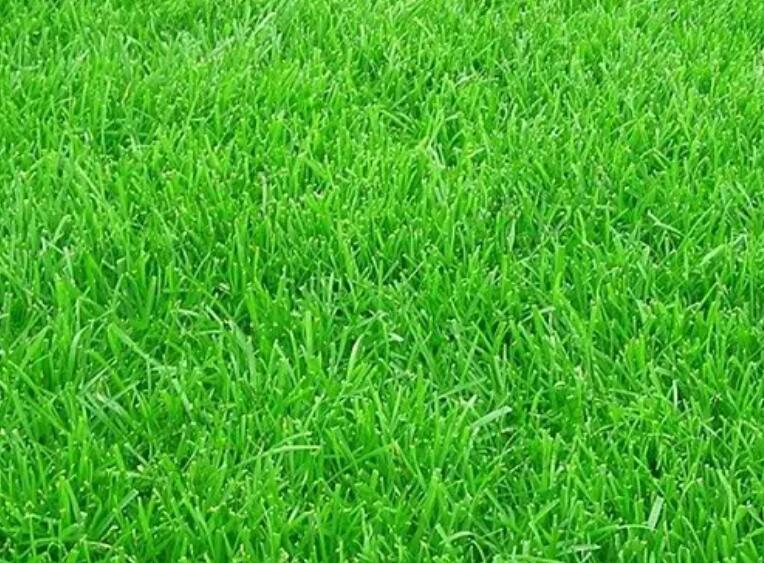 1660054205244506.jpg 1.jpg