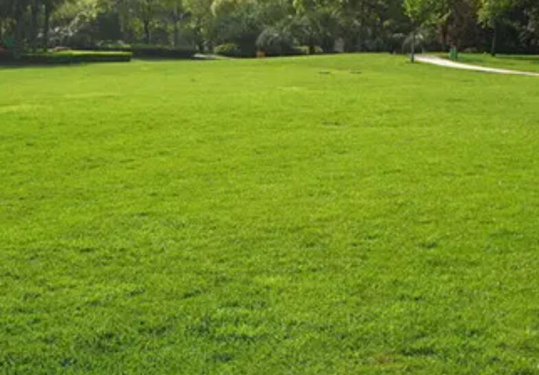 1660054220721529.jpg 3.jpg