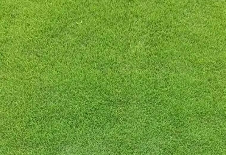 1660143542902957.jpg 1.jpg