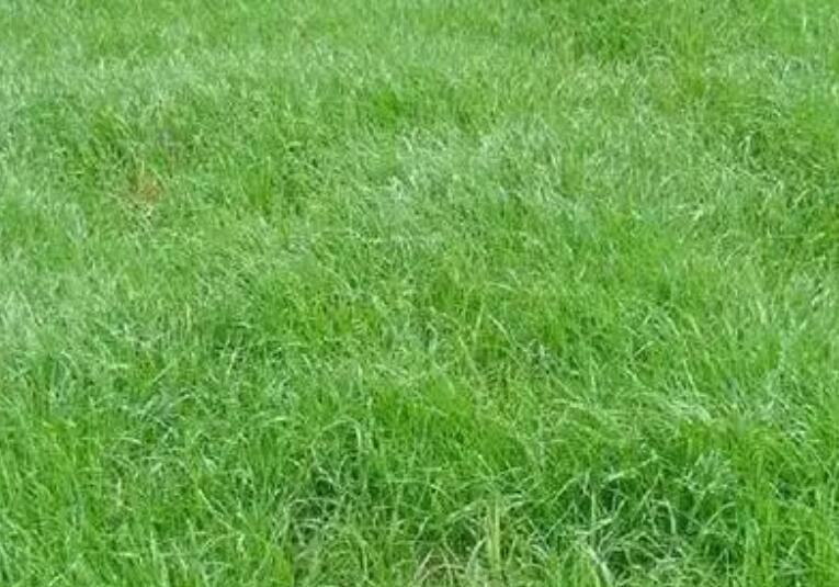 1660143558928617.jpg 3.jpg