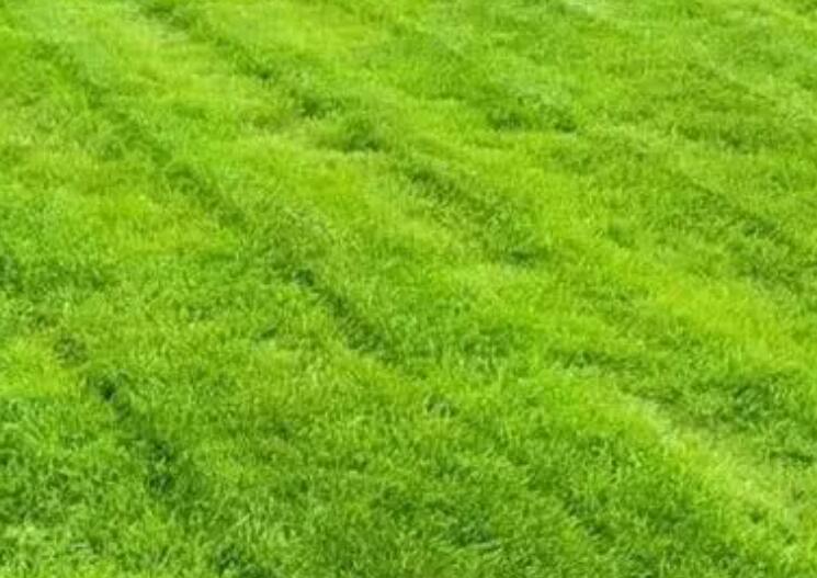 1660144090787925.jpg 1.jpg