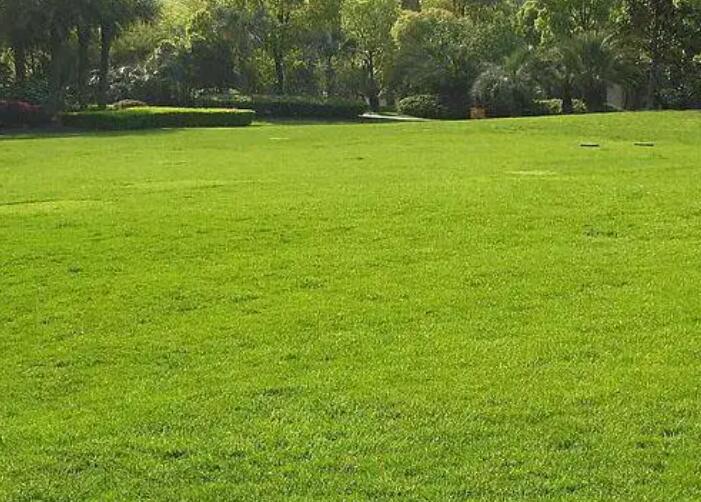 1660144105856179.jpg 3.jpg