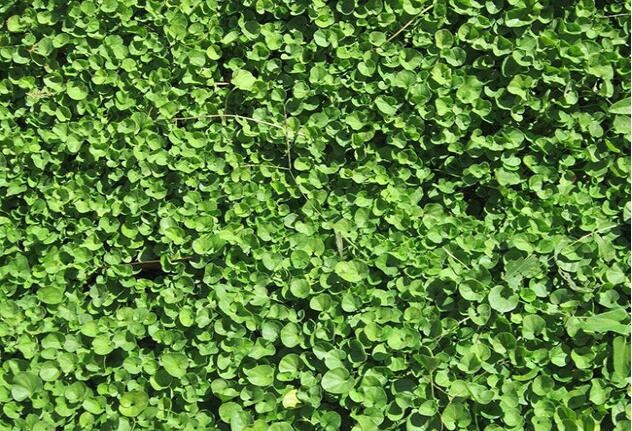 1660268589205865.jpg 1660268589205865.jpg