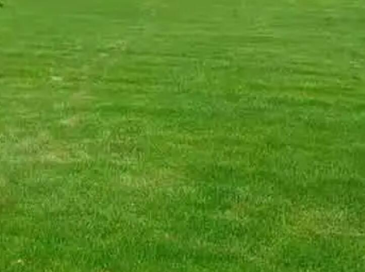 1660406485747394.jpg 3.jpg