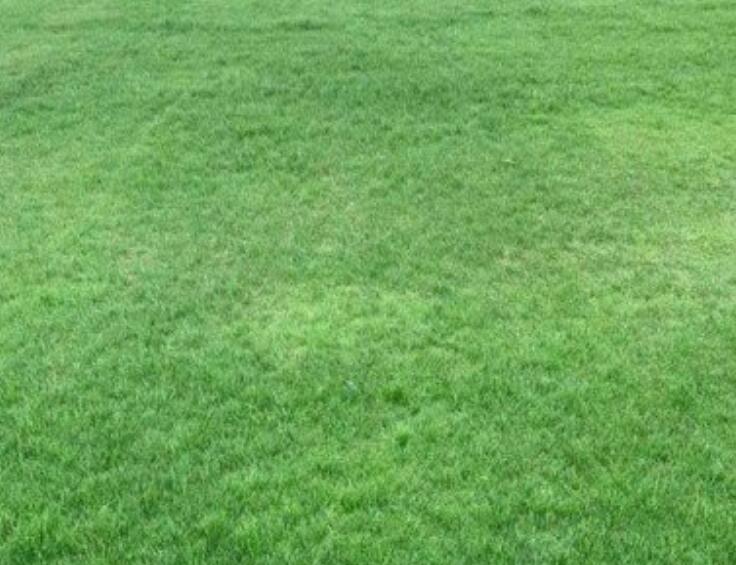 1660458095184904.jpg 2.jpg