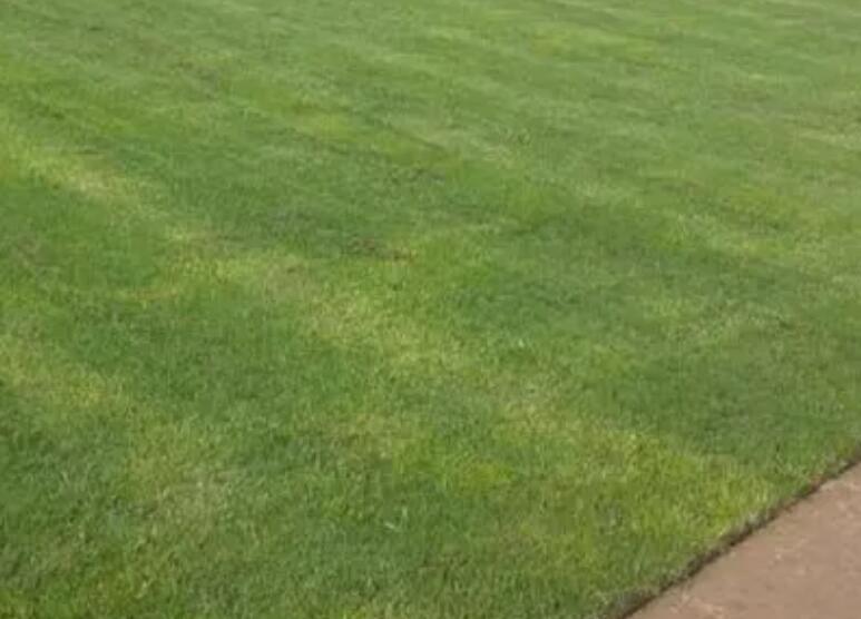 1660458102177916.jpg 3.jpg