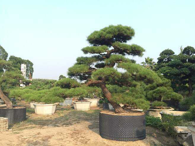 1660476839779868.jpeg 1660476839779868.jpeg