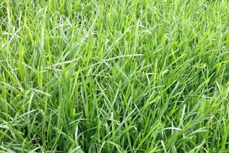 1660661915841973.jpg 3.jpg