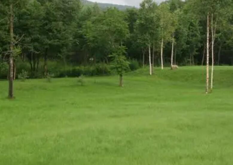 1660828380275347.jpg 2.jpg