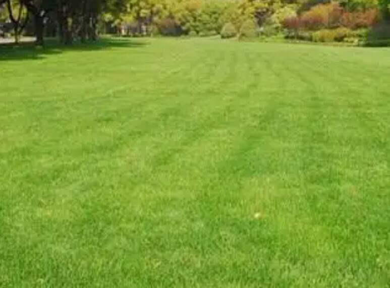 1660828387508201.jpg 3.jpg