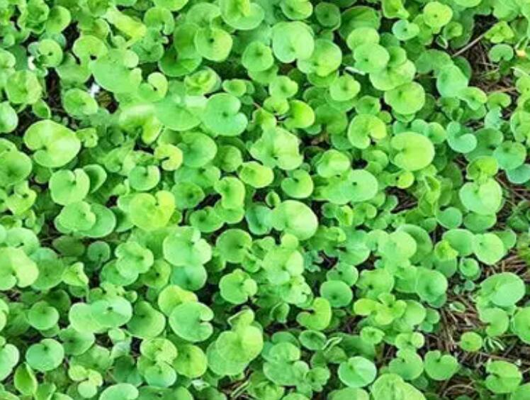 1661004479953343.jpg 2.jpg