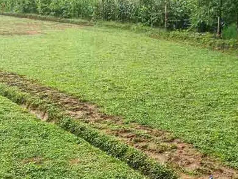 1661004514353309.jpg 3.jpg