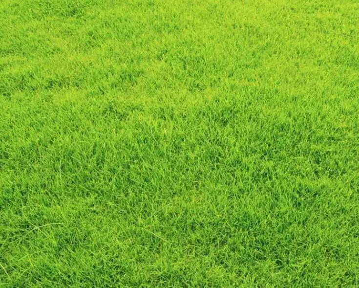 1661005038602430.jpg 2.jpg