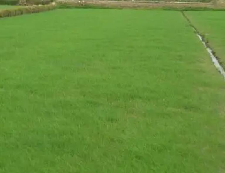 1661005046601085.jpg 3.jpg