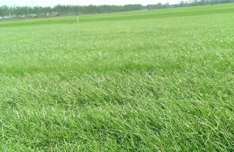 1661005679871664.jpg 1.jpg