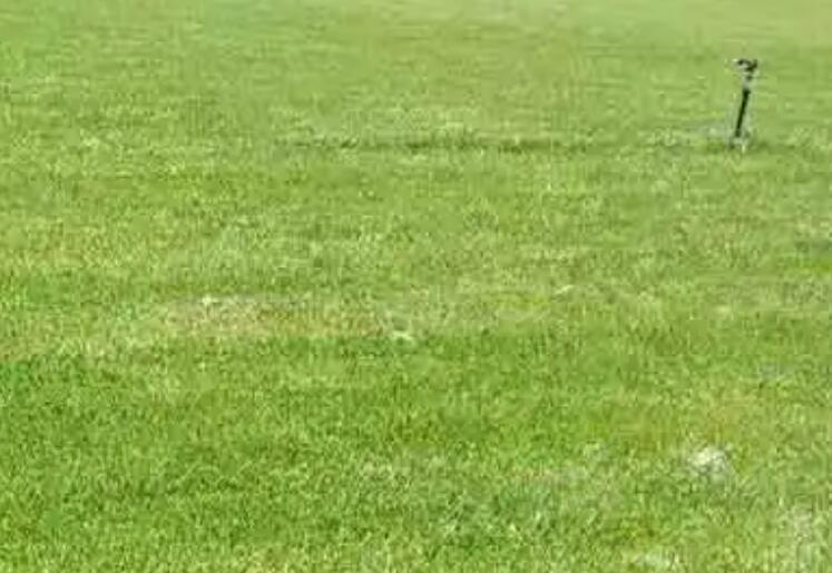 1661005693504024.jpg 3.jpg