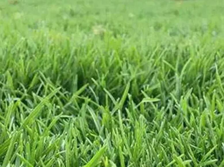 1661007851304357.jpg 1.jpg