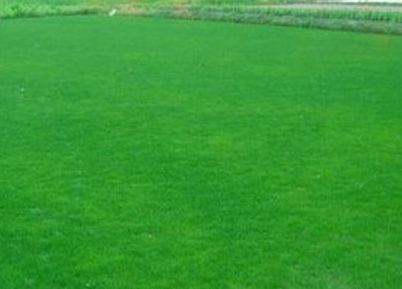 1661007866802361.jpg 3.jpg