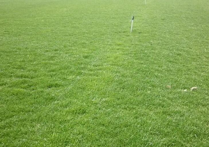 1661087133797244.jpg 1.jpg