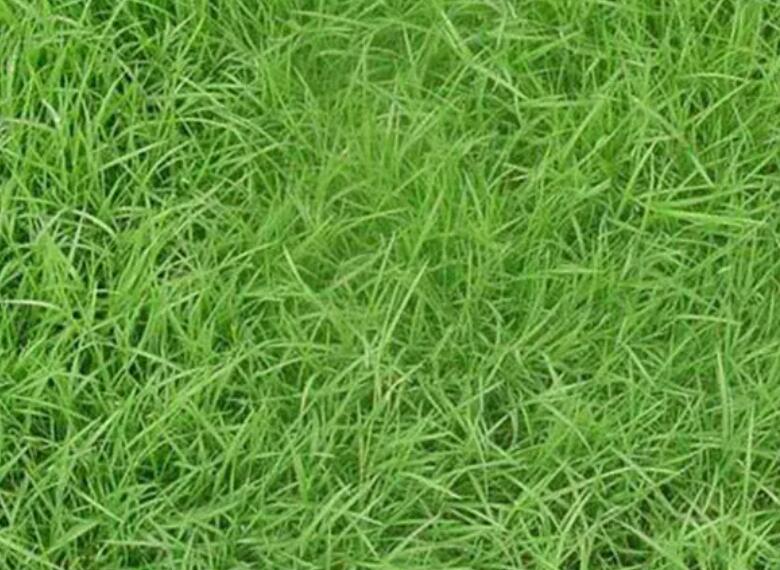 1661087152606239.jpg 3.jpg