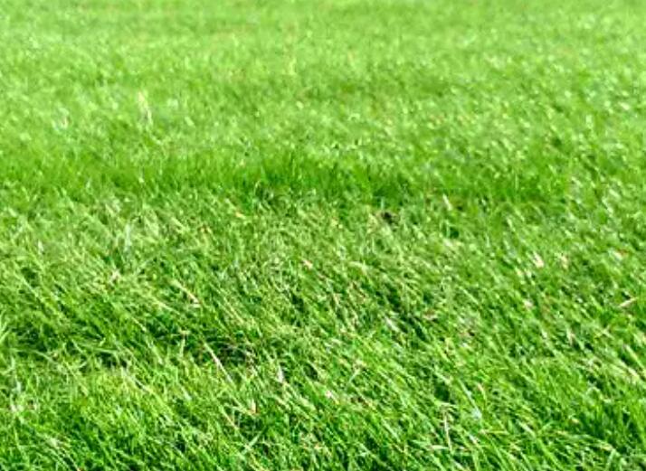 1661090072790516.jpg 1.jpg